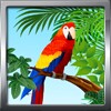 Bird Ringtones
