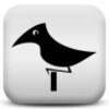 Bird Sleep Sounds