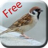 Bird Sounds & Ringtones