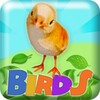 Birds 2048