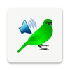 Birds Calls Sounds
