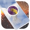 Birds Clock Live Wallpaper