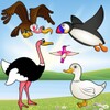Birds Game For Toddlers