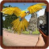 Birds Hunter In Jungle