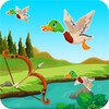 Birds Hunter