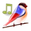 Birds Sounds Relax And Sleep