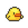 Birdy