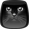 Black Live Wallpaper