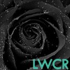 Black Rose Live Wallpapers