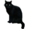 BlackCatSticker