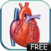 Blood Pressure Lite