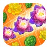 Blossom Legend
