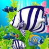 Blue Aquarium Wallpaper