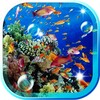 Blue Lagoon Fishes Life LWP