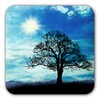 Blue Sky Live Wallpaper - Free