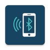 Bluetooth Autoplay Music