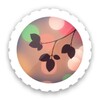 Bokeh (Background Defocus)