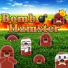 Bomb Hamster