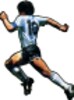 Botonera Del Diego