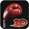 Boxing 3D