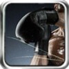 Boxing Mania