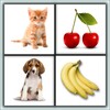 Brain Game. Picture Match