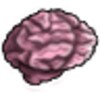 Brain Squeeze