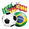Brazil 2014 Memory Game