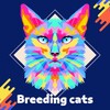 Breeding Cats 2023