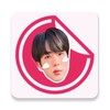 BTS Stickers