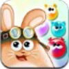 Bubble Bunny