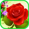 Bubble Rose