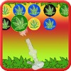 Bubble Weed