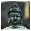 Buddha Wallpaper NEW