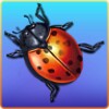 Bug Smasher FREE