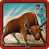 Bull Fighter Champion Matador