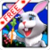 Bunny In The Island