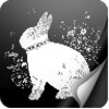 Bunny Mano