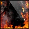 Burning