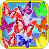 Butterfly Garden Clash