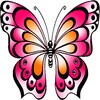Butterfly HD Coloring Book