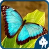 Butterfly Jigsaw Puzzles