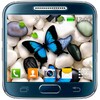 Butterfly Live Wallpaper