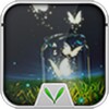 ButterflyInTheBottle