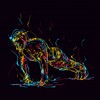 Calisthenics