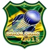 Campeonato Brasileiro 2015