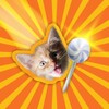 Candy Cat
