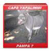 Caps Yapma