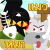 Cat Beat Dog