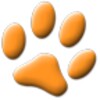 Cat Games Free
